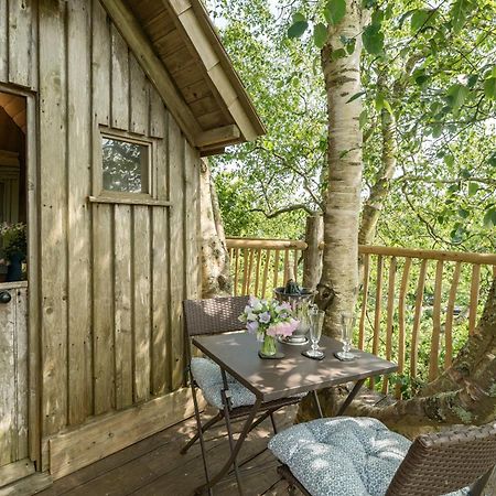 The Treehouse At Salcombe Farm Villa Kültér fotó