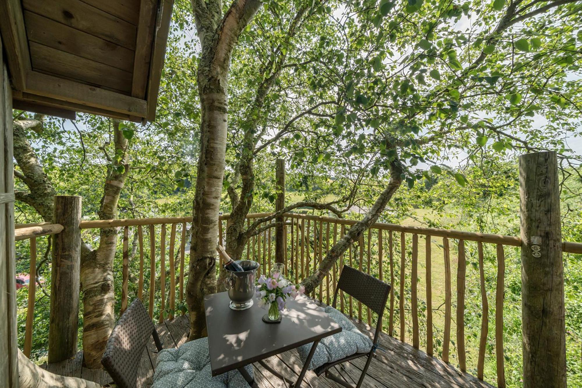 The Treehouse At Salcombe Farm Villa Kültér fotó