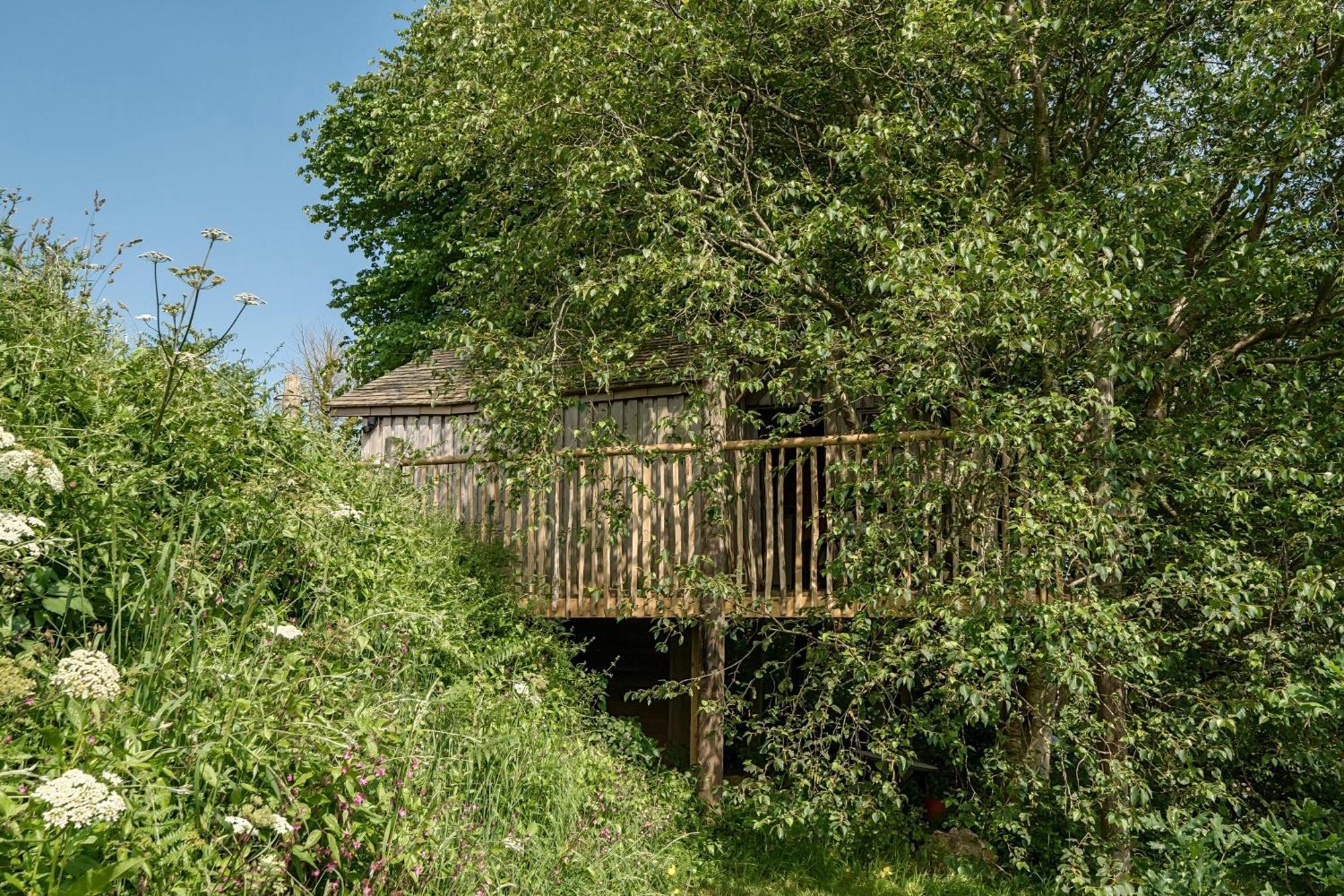 The Treehouse At Salcombe Farm Villa Kültér fotó