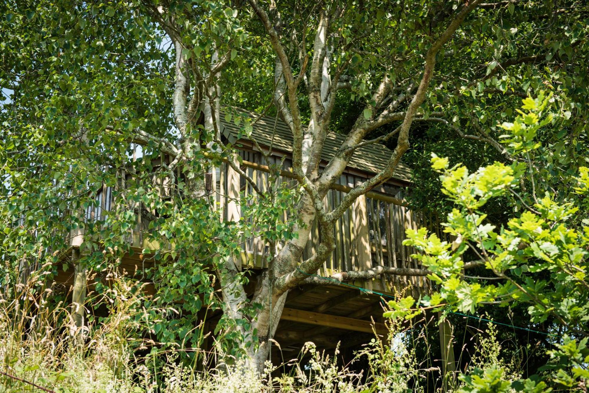 The Treehouse At Salcombe Farm Villa Kültér fotó